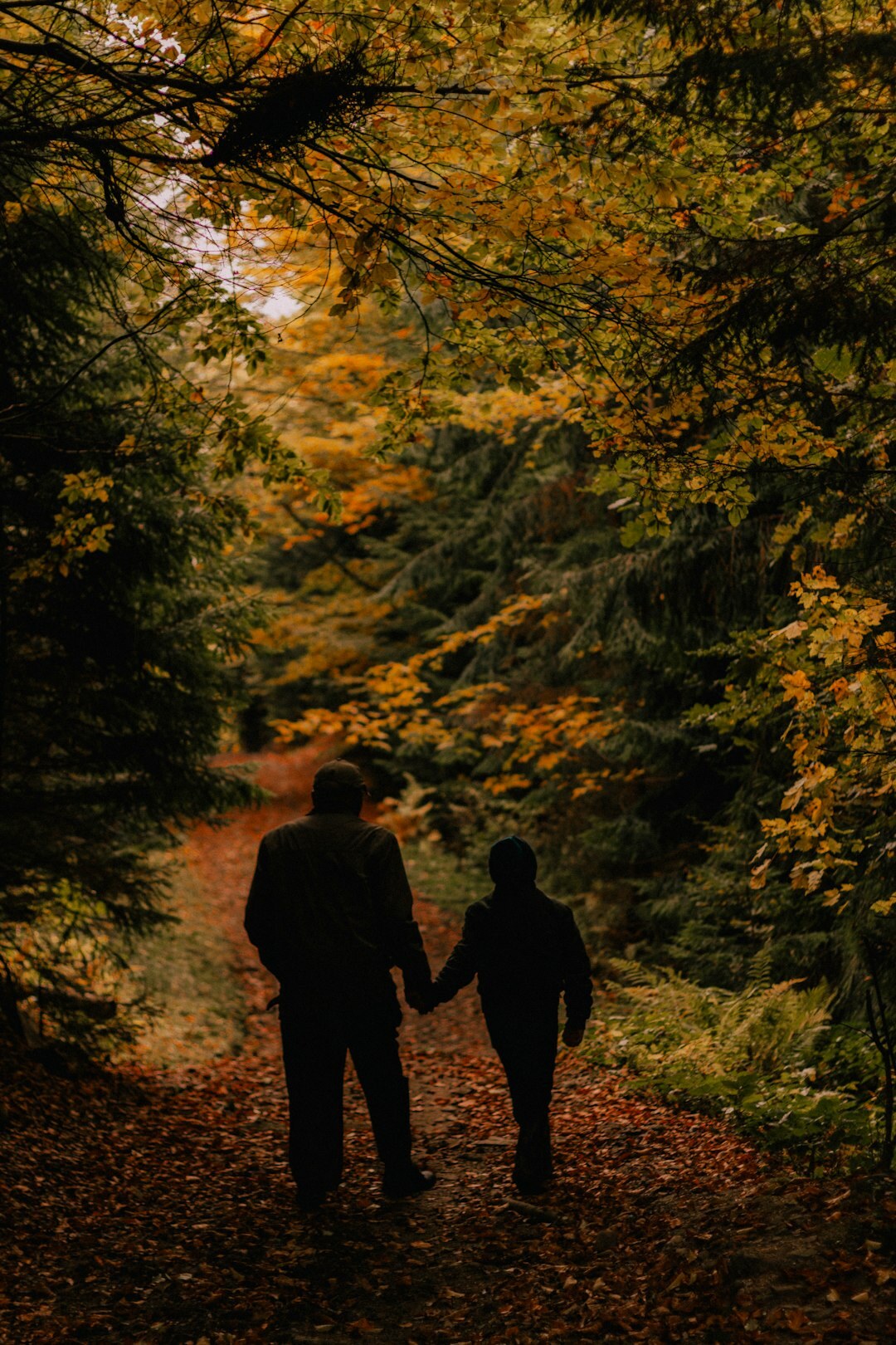 Couple walking hand in hand through an autumn forest